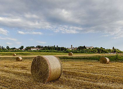 San Daniele del Friuli